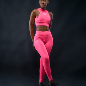 Ensemble PaGuiMo Training Two (Pink)