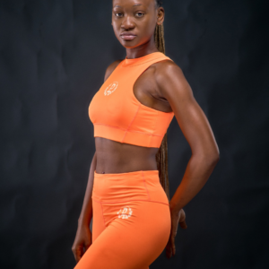 Ensemble PaGuiMo Training Two (Orange)